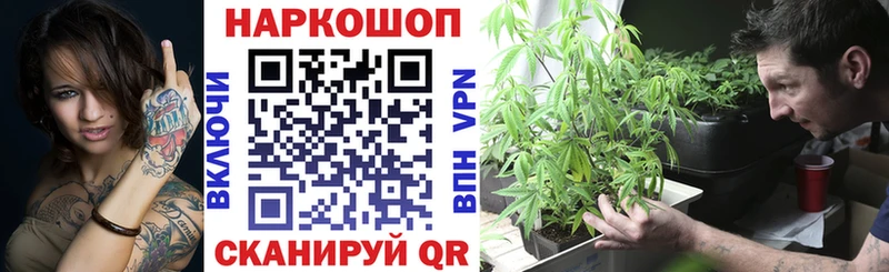 Цена Новозыбков ГАШИШ Конопля СОЛЬ БУТИРАТ COCAIN KRAKEN как войти Меф
