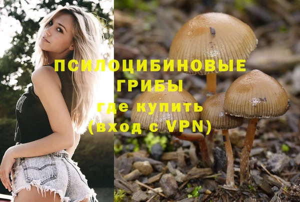 гашик Гусев