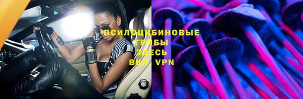 спайс Тайга