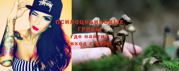 гидра Гусиноозёрск