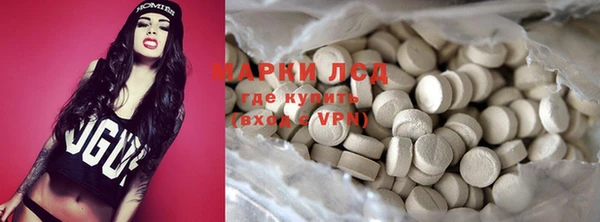 гидра Гусиноозёрск