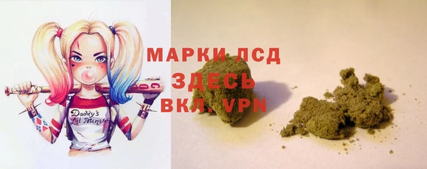 гашик Гусев