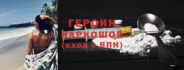 гашик Гусев