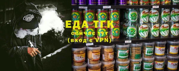 гашик Гусев