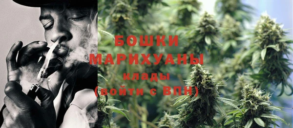 гидра Гусиноозёрск