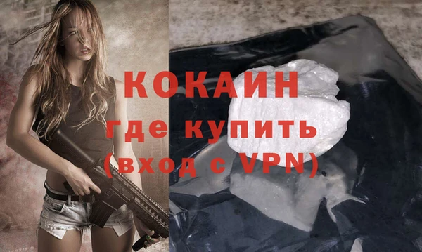 гидра Гусиноозёрск