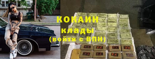 гидра Гусиноозёрск