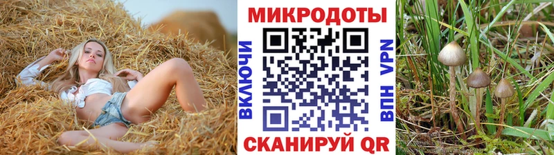 Галлюциногенные грибы GOLDEN TEACHER  магазин  наркотиков  Новозыбков 