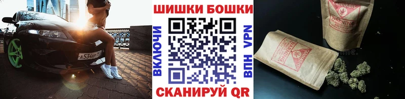 где купить наркоту  Новозыбков  Бошки марихуана ГИДРОПОН 